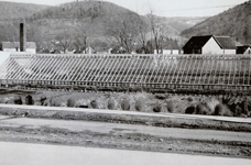 Knechtel's Blossom Shop & Farm