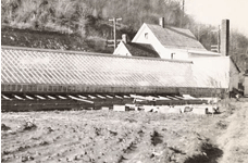 Knechtel's Blossom Shop & Farm