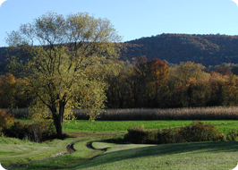 Knechtel Farm