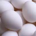 White Eggs